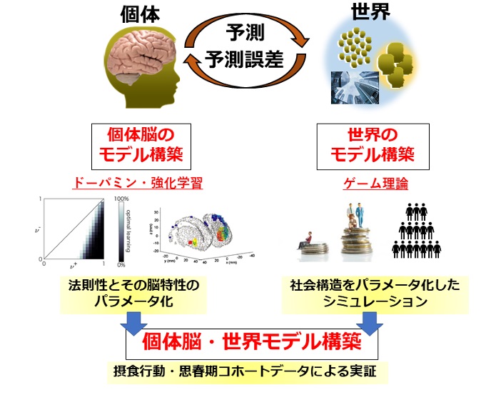図2: 個体脳-世界モデル構築と大規模データによる検証