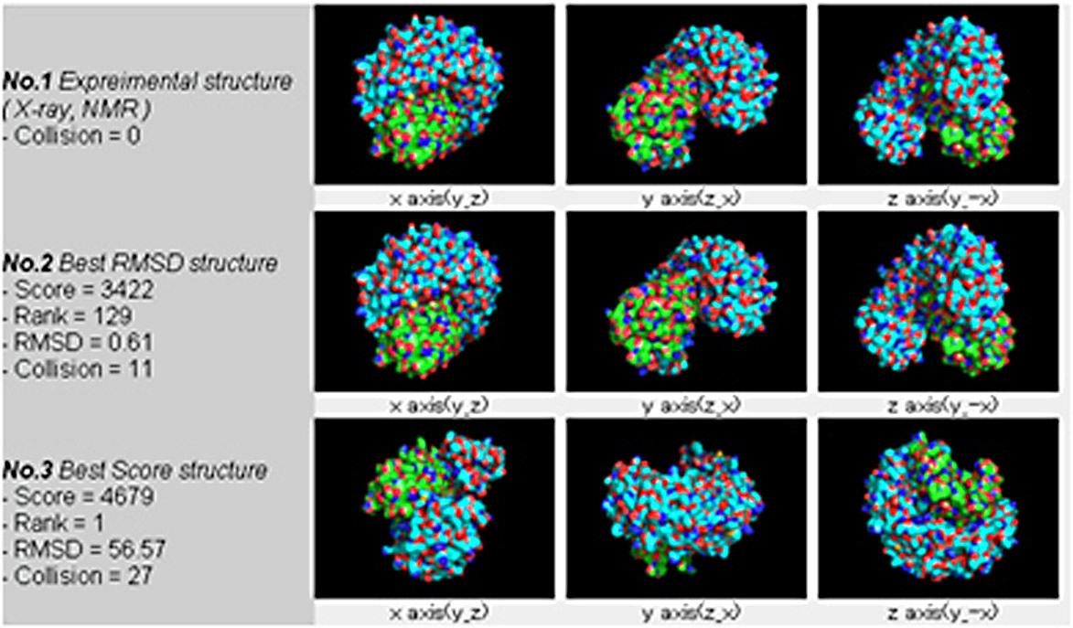 図2:タンパク質-タンパク質のドッキング予測計算の例